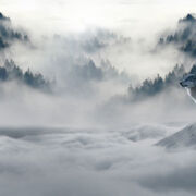 Expectations Can Blur Openings like this image of wolves hidden by fog on a mountain