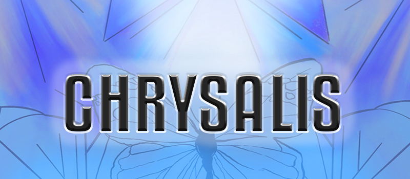 Chrysalis: Personal Transformation from the Inside Out, by Ann Vanino