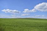 open field and sky