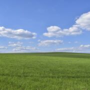 open field and sky