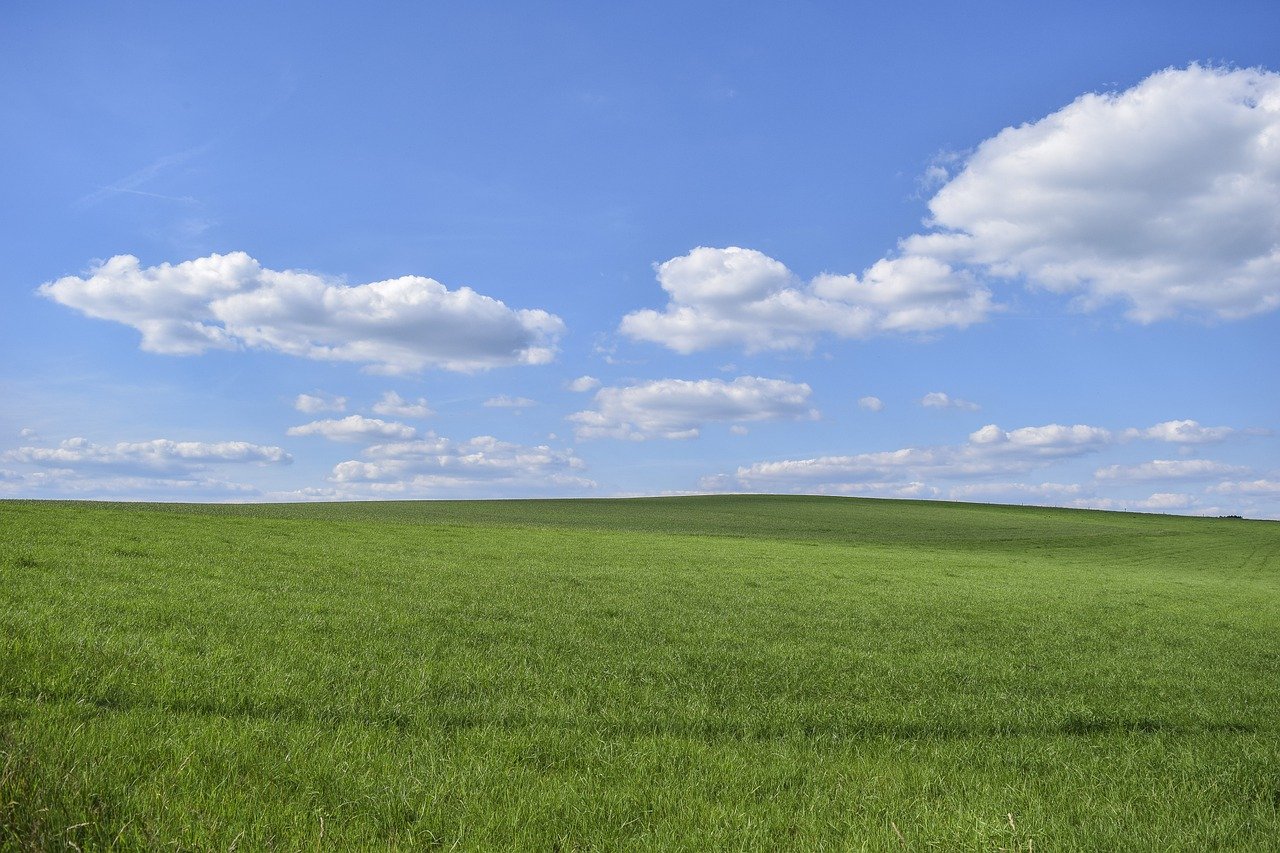 FieldMichaelGaidapixabay open field and sky