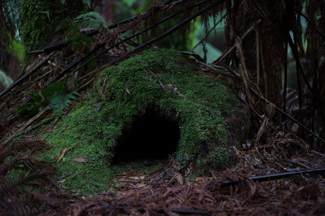 caveSamanthaLachspixabay Entrance to a cave covered with moss in a thick, green forest