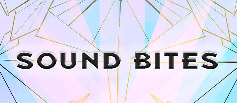 SoundBitesLogoFinal Sound Bites, from Ann Vanino, author and coach