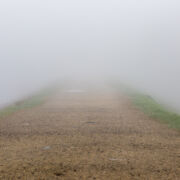 fog obscuring a dirt trail with grass on both sides