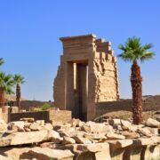 Ruins in a desert with palm trees