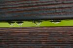 two small horizontal wood fence slabs with a small opening and four drops of water between them and bright green in the background seen through the opening