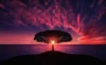 with red and pink overtones sun setting behind a tree on a hill with a water body and clouds in the background