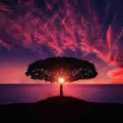 with red and pink overtones sun setting behind a tree on a hill with a water body and clouds in the background