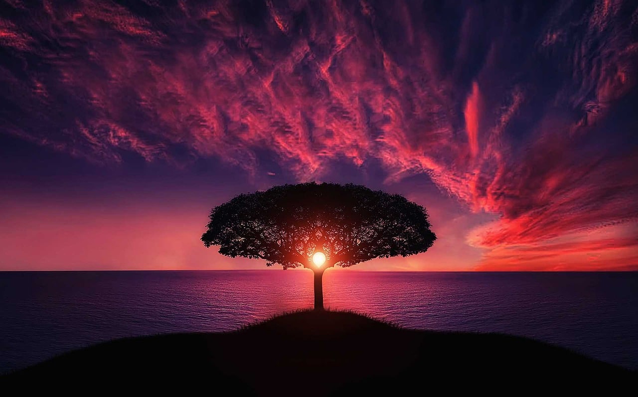 with red and pink overtones sun setting behind a tree on a hill with a water body and clouds in the background