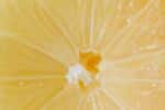 Close up of core of a lemon