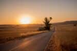 A road with a setting sun on an open plain