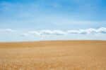 A clear blue sky with a few clouds over open desert sand.