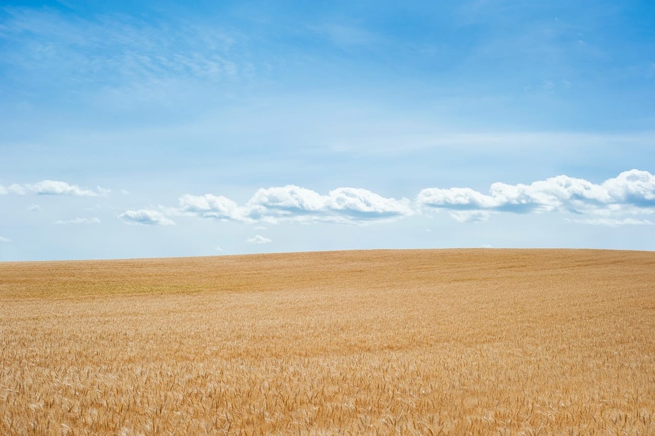 A clear blue sky with a few clouds over open desert sand.