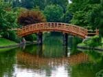 Curved wooden bridge over a calm river with green trees in background..