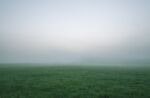 Grassy field obscured by fog.