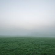 Grassy field obscured by fog.