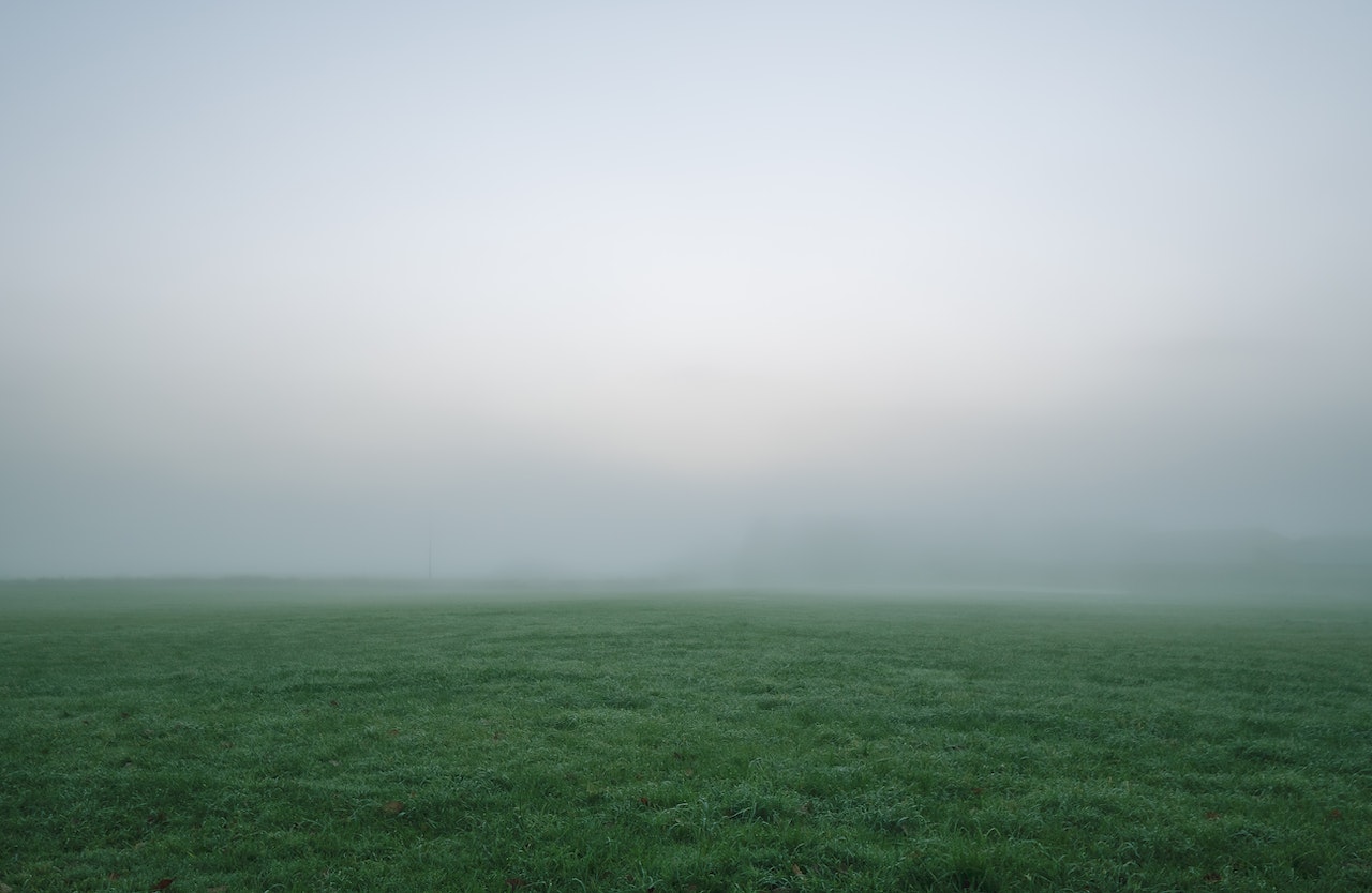 Grassy field obscured by fog.