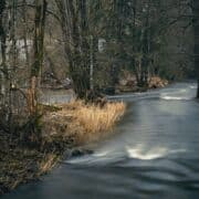 A river going through woods in winter with light rapids and multiple paths.