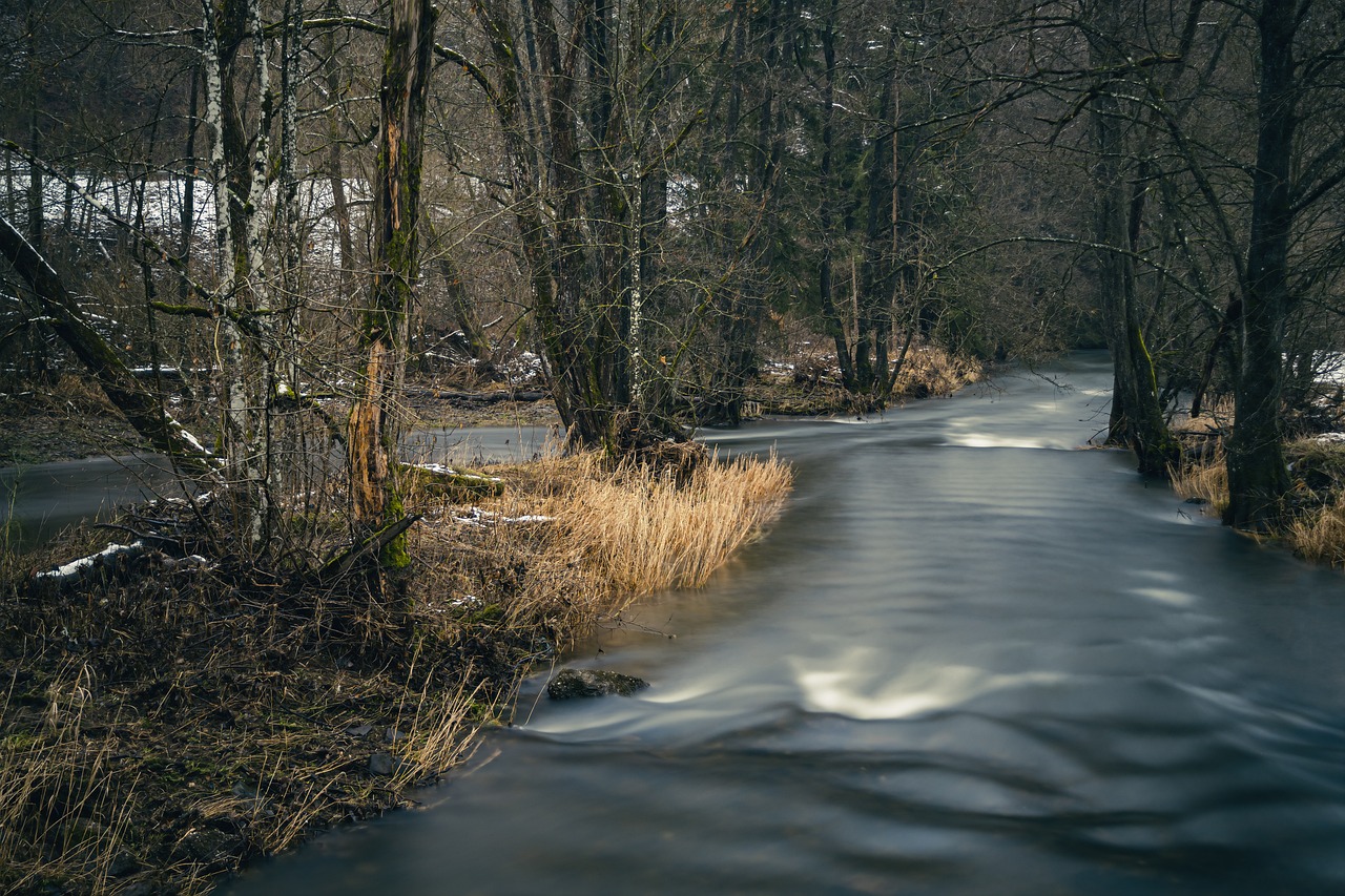 A river going through woods in winter with light rapids and multiple paths.