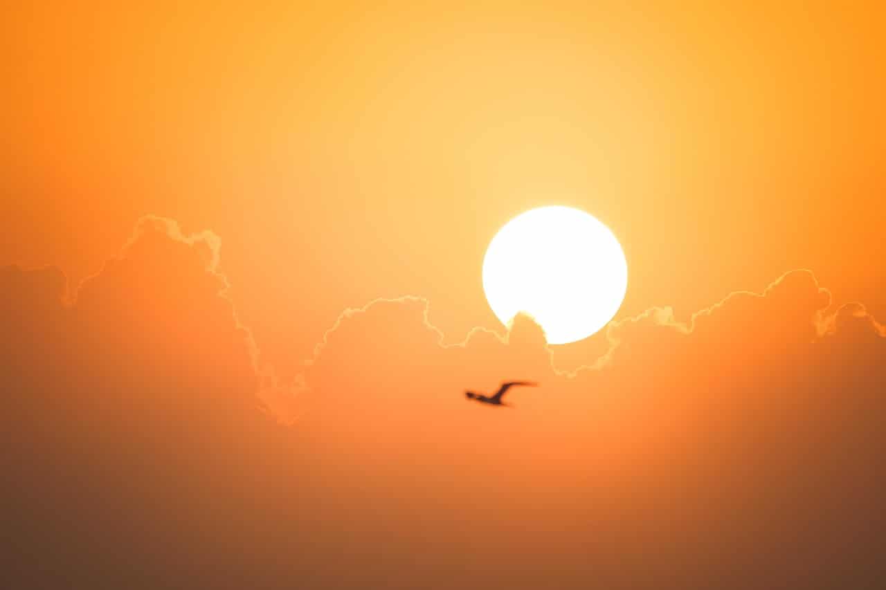 A sunset in the clouds, orange and yellow tones, with no land and the silhouette of a bird flying.