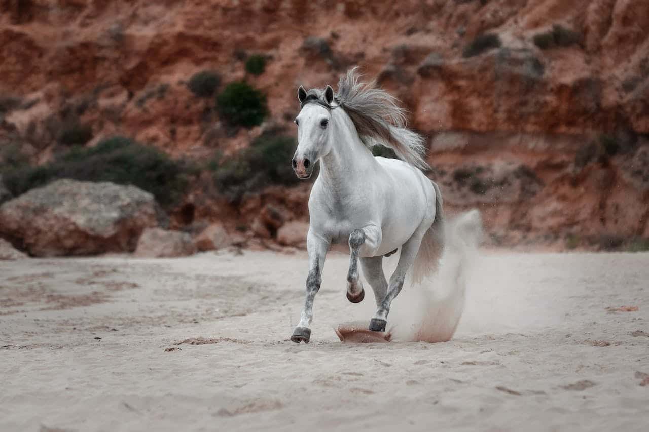 Majestic horse, with mane flowing, running on sand near red rocks.