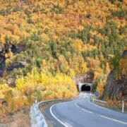 A mountain road with brilliant autumn leaves leading to a tunnel carved in the mountain