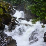 Rapids in a raging river with trees and rocks.