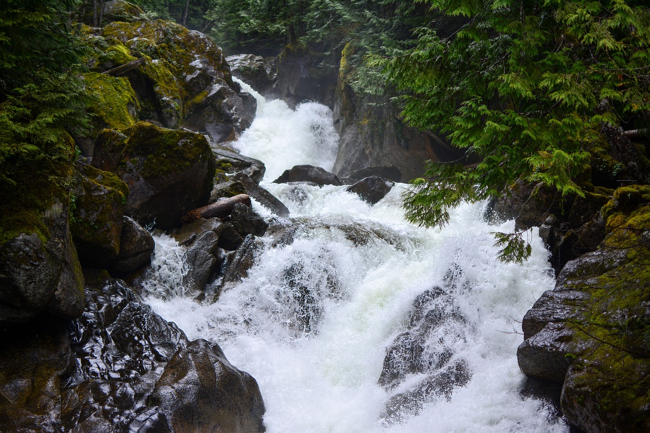 Rapids in a raging river with trees and rocks.