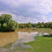 A flood invading land with green grass and trees and cloudy blue sky overhead