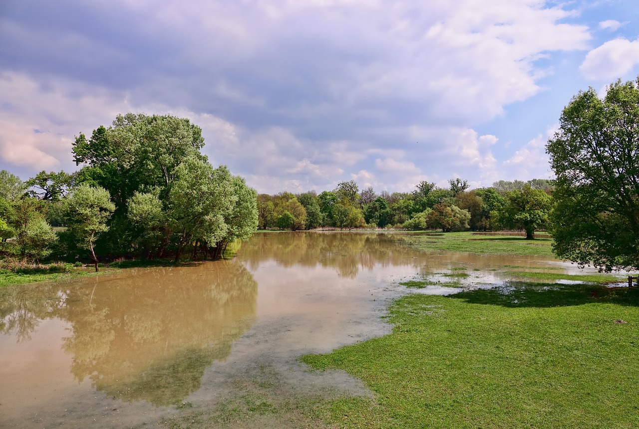 A flood invading land with green grass and trees and cloudy blue sky overhead