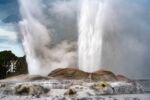 Multiple geysers spewing from a rocky surface.