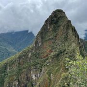 A strong mountain with trees on its slopes.