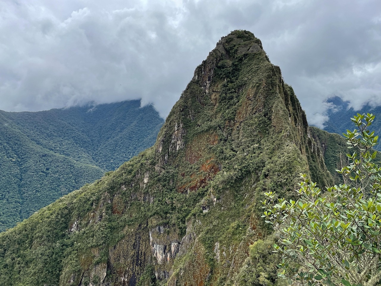 A strong mountain with trees on its slopes.