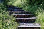 Stone stairs surrounded by green plants going uphill