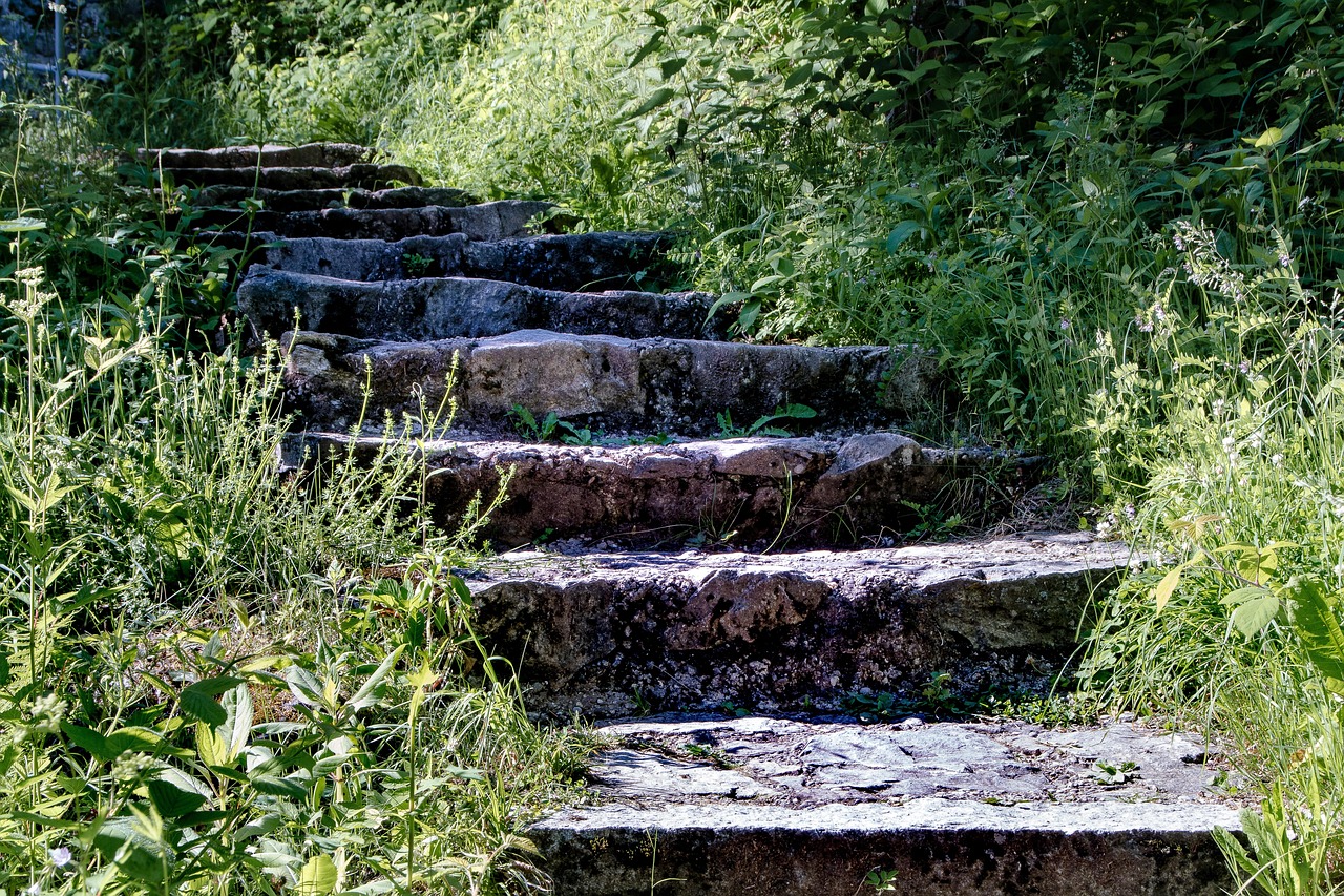 Stone stairs surrounded by green plants going uphill