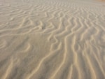 Light brown sand shaped in ripples by the wind.