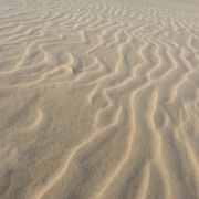 Light brown sand shaped in ripples by the wind.
