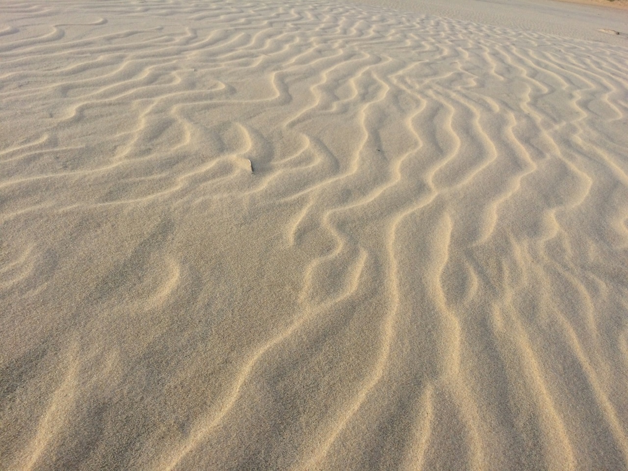 Light brown sand shaped in ripples by the wind.
