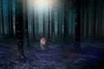 A jaguar walking in a dark forest of tall trees with moonlight shining through.