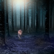 A jaguar walking in a dark forest of tall trees with moonlight shining through.