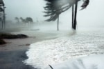 A hurricane with wind bending palm trees and water surging on the land.