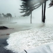 A hurricane with wind bending palm trees and water surging on the land.
