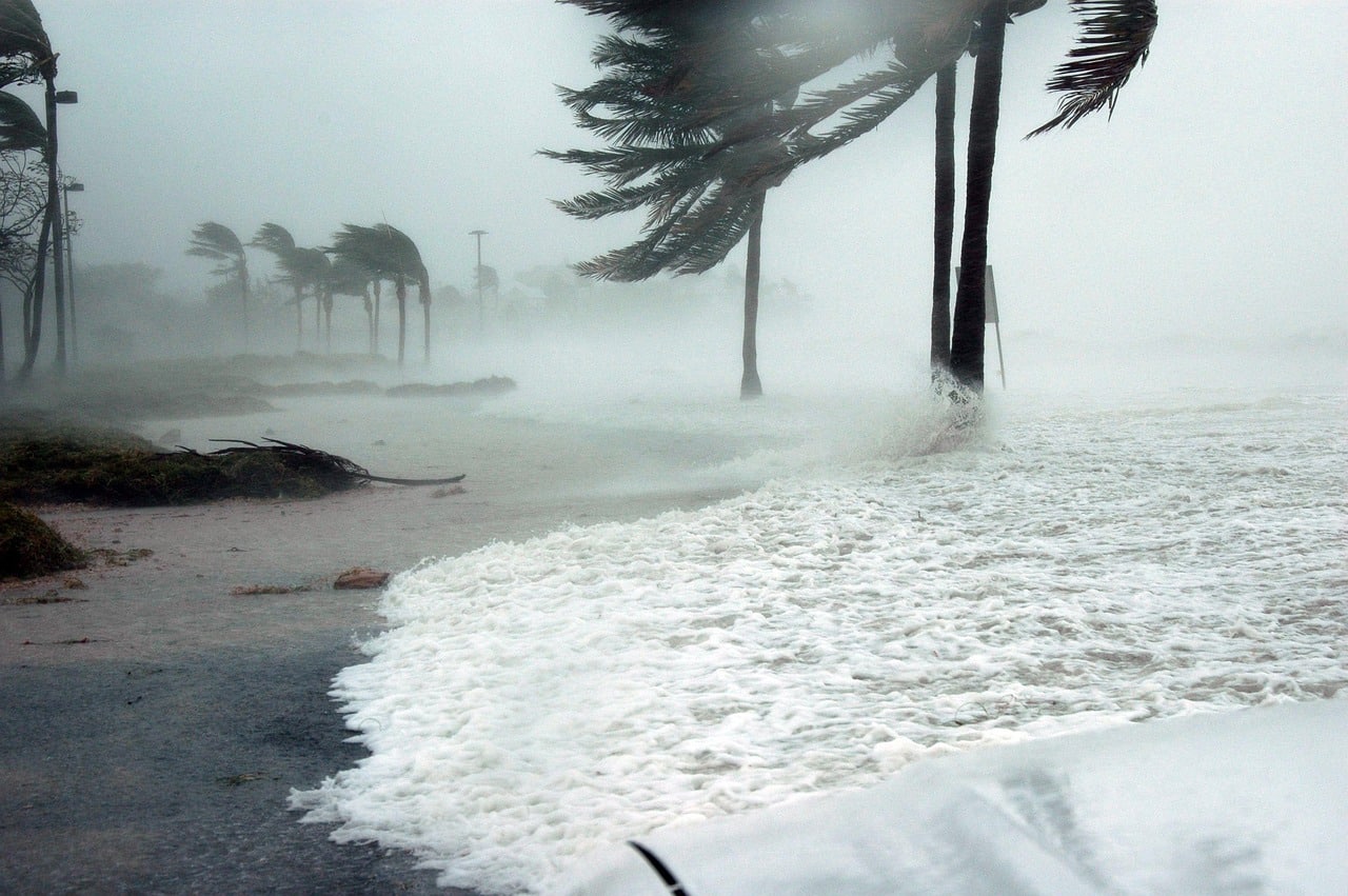 A hurricane with wind bending palm trees and water surging on the land.