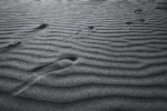 Footsteps in rippling sand in grey tones.