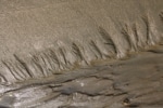 Thick, brown mud in various patterns