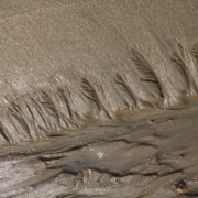 Thick, brown mud in various patterns