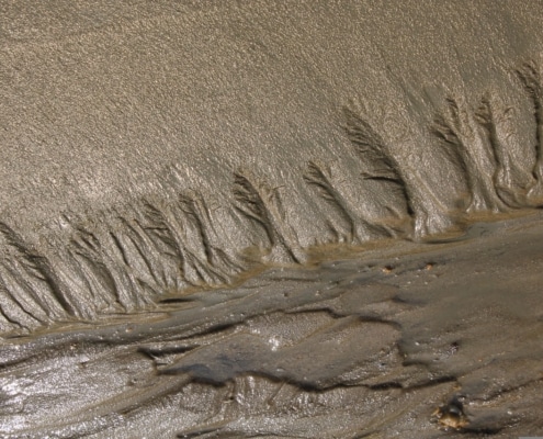 Thick, brown mud in various patterns