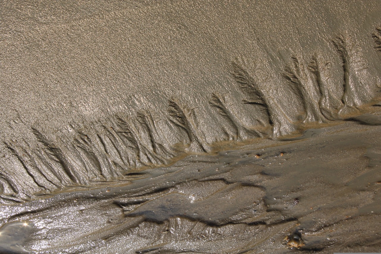 Thick, brown mud in various patterns